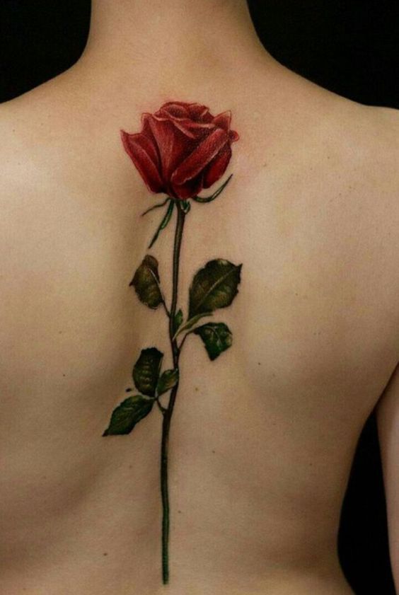 Hình xăm bông hoa màu đỏ sẫm ở lưng Tattoo hoa sau lưng đỏ thẫm