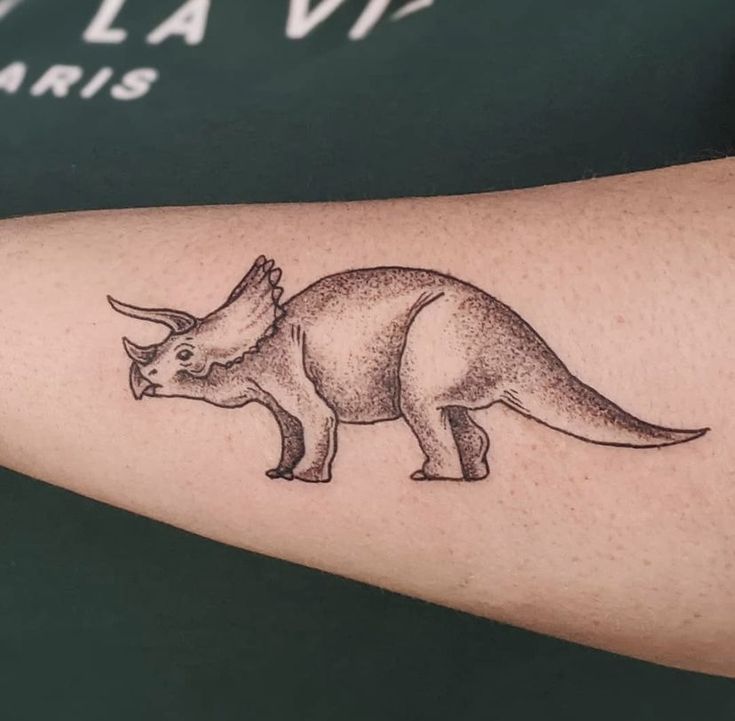 Trọn bộ 888+ hình xăm khủng long được xăm nhiều nhất hiện nay - Genztattoo