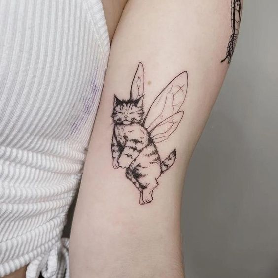 Hình xăm mèo có cánh cực dễ thương trên cánh tay tattoo con mèo có cánh siêu đáng yêu trên cánh tay