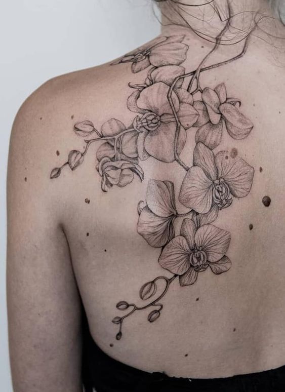 Hình xăm hoa lan ở một bên vai hình xăm những bông hoa lan ở một bên vai