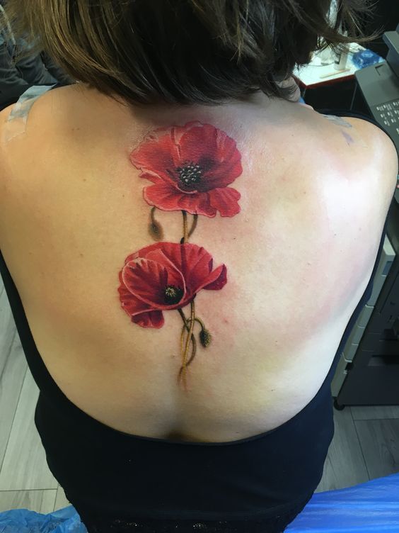 Poppy dành cho những người phụ nữ mạnh mẽ và yêu tự do hoa anh túc cho bạn nữ mạnh mẽ và thích tự do