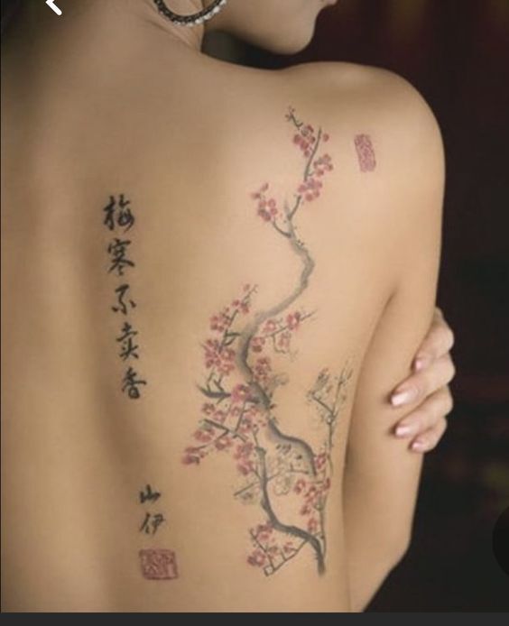 Cành anh đào trên lưng cô gái cành cây anh đào trên lưng bạn nữ