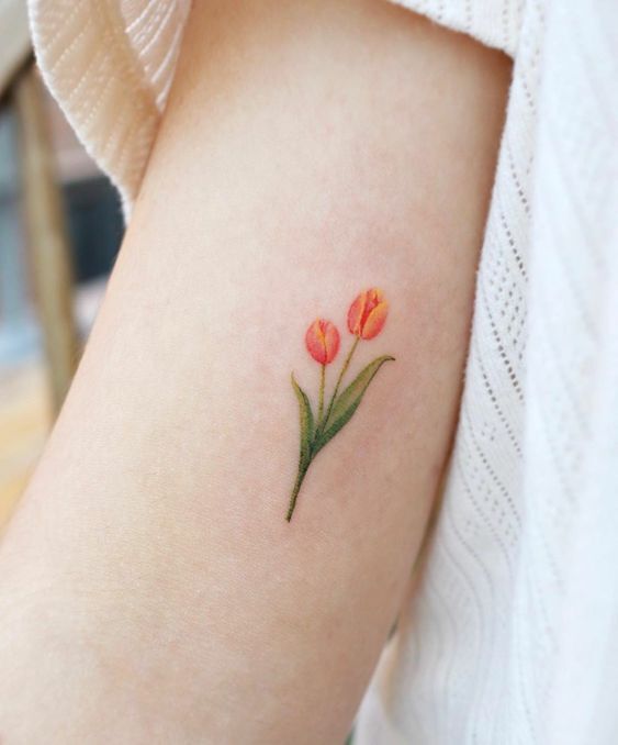 hoa tulip mini dễ thương cho chị em