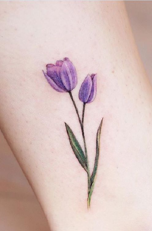 ấn tượng với sắc tím của hoa tulip
