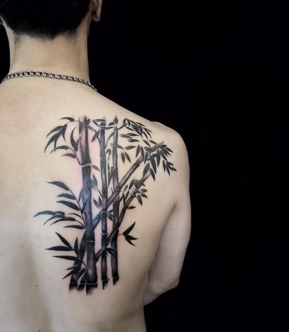 hình xăm cây tre ở lưng mẫu 4