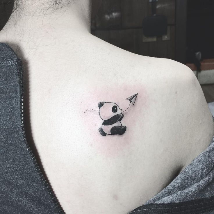 máy bay phóng mini panda gấu trúc mini phóng máy bay