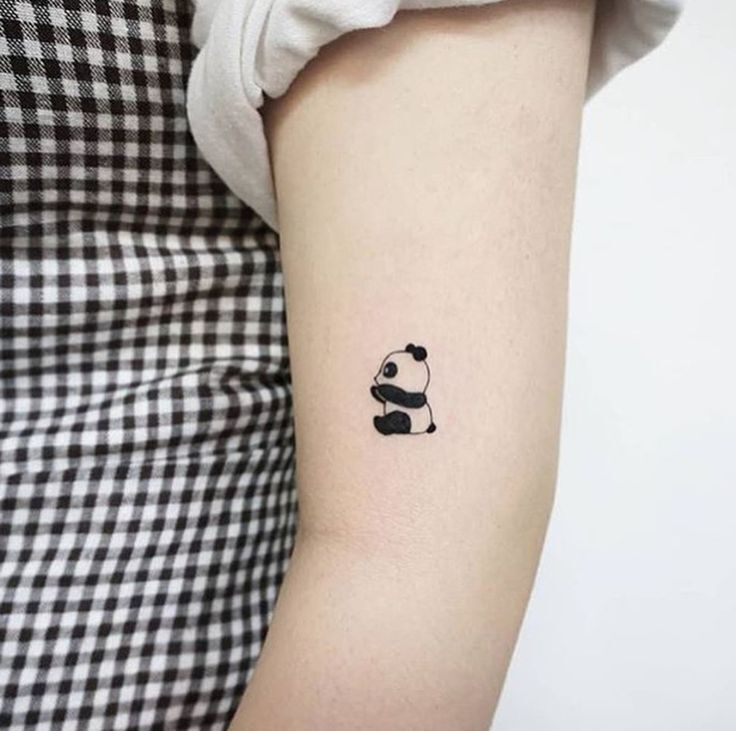 gấu trúc mini siêu dễ thương gấu trúc mini siêu đáng yêu