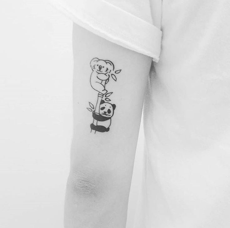 chú gấu trúc nhỏ và chuột chũi siêu nghịch ngợm gấu trúc và chuột chũi mini siêu phá phách