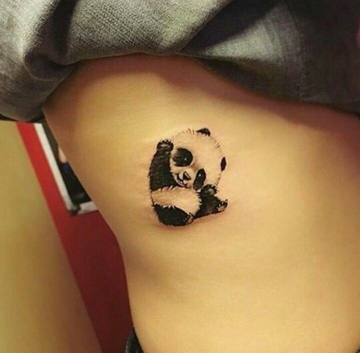 chú gấu trúc nhỏ đang nằm cuộn tròn bên cạnh panda mini làm nũng ở sườn