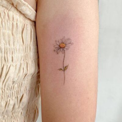 mẫu tattoo cành hoa cúc siêu dễ thương