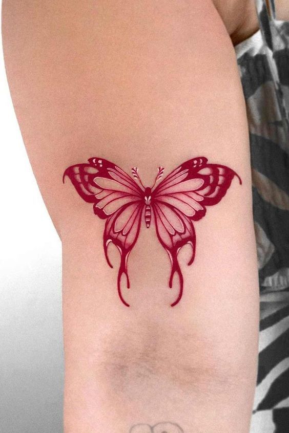 cánh bướm đỏ đẹp cánh bướm đêm màu đỏ tuyệt đẹp