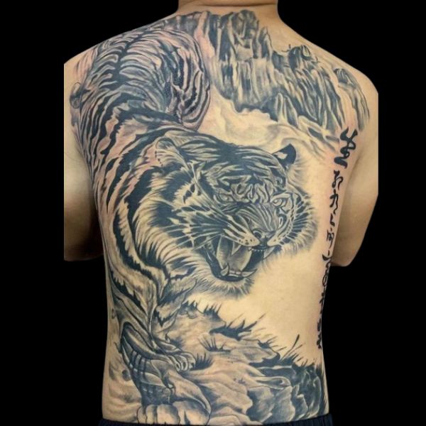 Tattoo hổ xuống núi