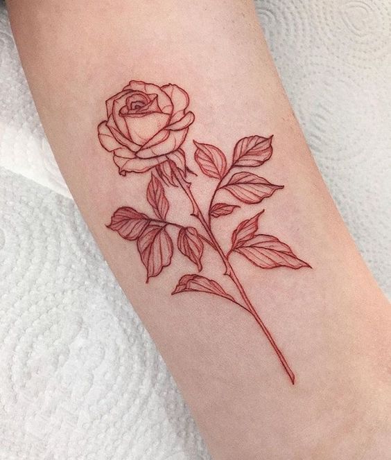 200 hình xăm hoa hồng mini chọn lọc cực đẹp - Genztattoo