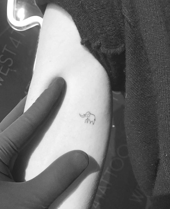 99 hình xăm con voi mini dễ thương độc lạ - Genztattoo