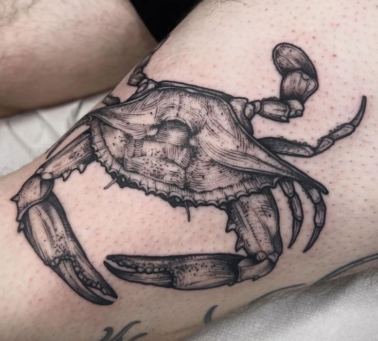 Top 99+ hình xăm con cua siêu nét và chất lừ cho anh em - Genztattoo