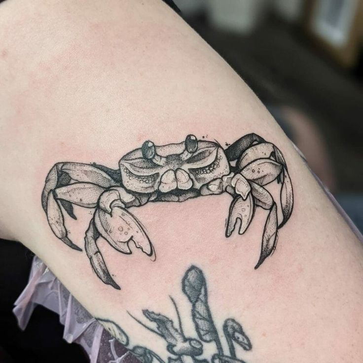Top 99+ hình xăm con cua siêu nét và chất lừ cho anh em - Genztattoo