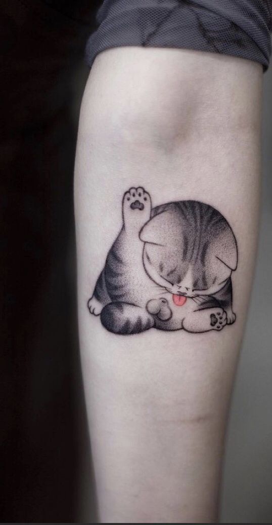 Hình xăm mèo con mini cực dễ thương dành cho những người sinh năm Tý tattoo mini mèo con cực xinh cho tuổi mão