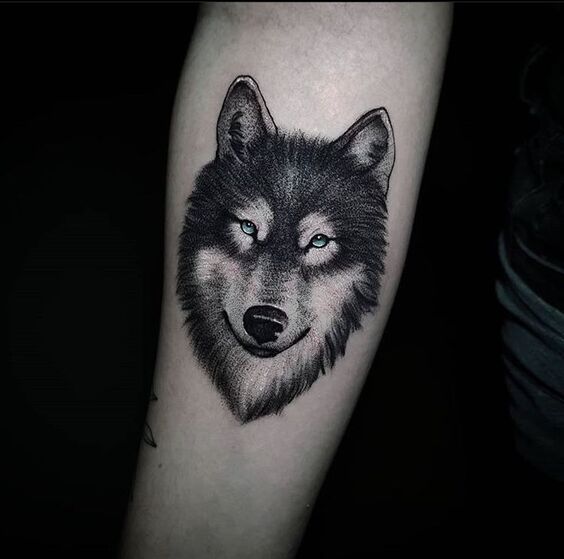 Tổng hợp 555+ hình xăm chó sói cực chiến cho anh em - Genztattoo