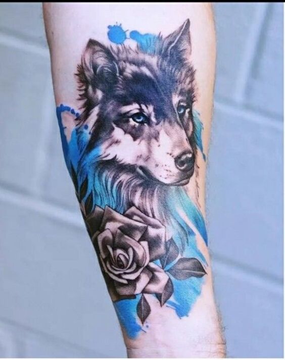 Tổng hợp 555+ hình xăm chó sói cực chiến cho anh em - Genztattoo