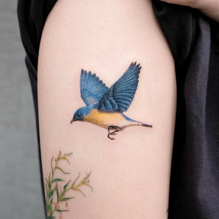 Top 333+ hình xăm con chim siêu đẹp và độc đáo - Genztattoo