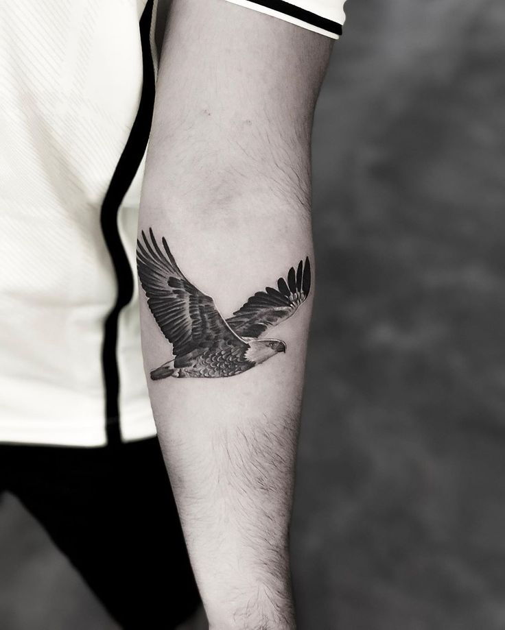 Top 333+ hình xăm con chim siêu đẹp và độc đáo - Genztattoo