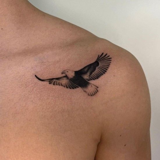 Top 333+ hình xăm con chim siêu đẹp và độc đáo - Genztattoo