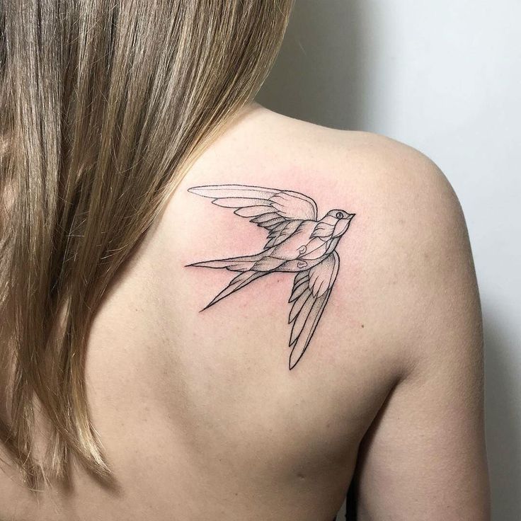 Top 333+ hình xăm con chim siêu đẹp và độc đáo - Genztattoo