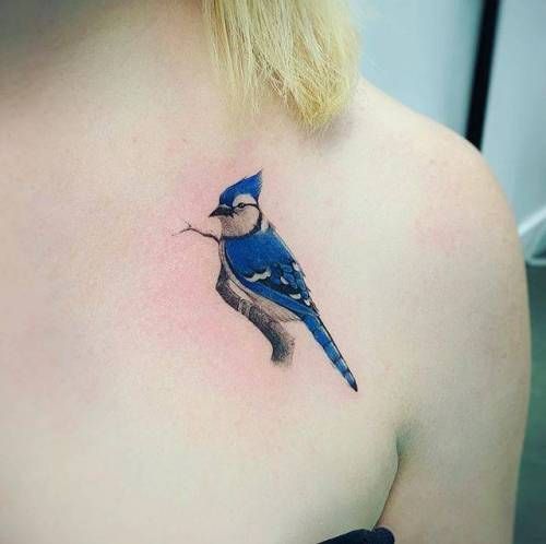 Top 333+ hình xăm con chim siêu đẹp và độc đáo - Genztattoo