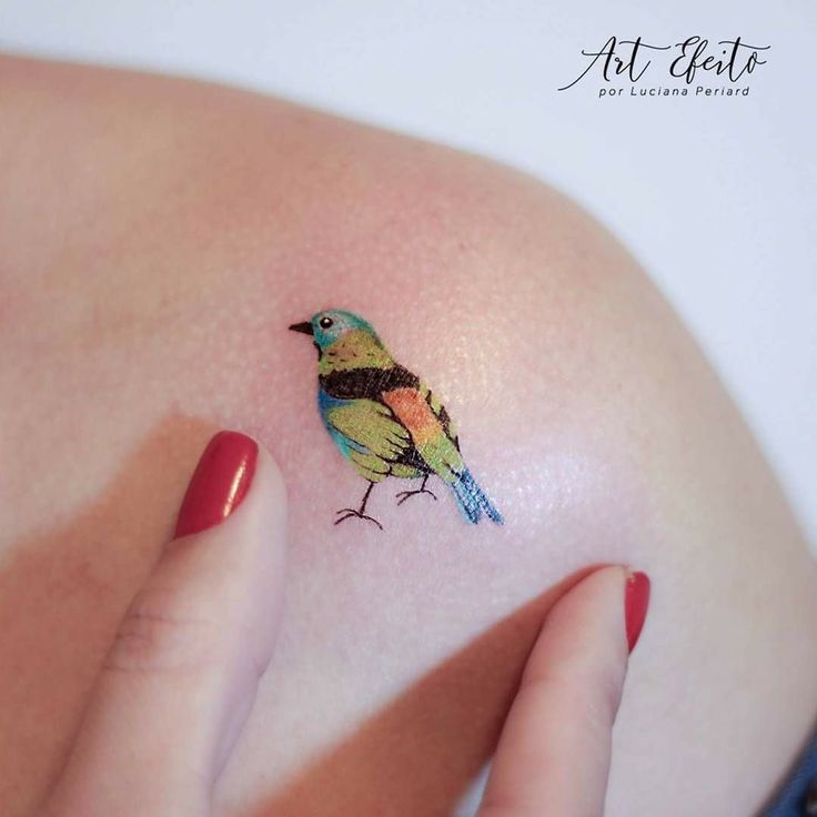 Top 333+ hình xăm con chim siêu đẹp và độc đáo - Genztattoo