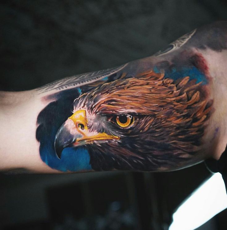 Top 333+ hình xăm con chim siêu đẹp và độc đáo - Genztattoo