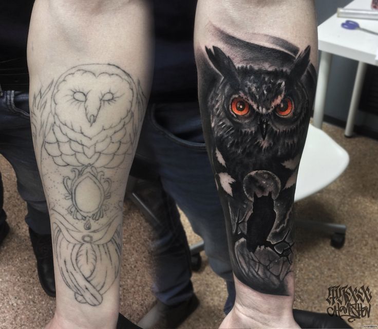 Top 333+ hình xăm con chim siêu đẹp và độc đáo - Genztattoo