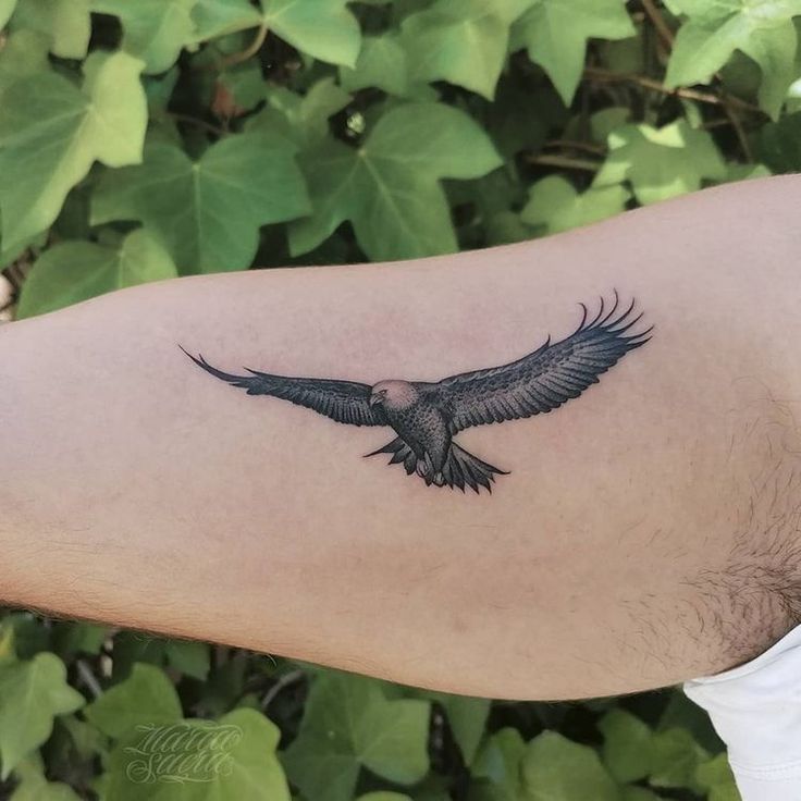 Top 333+ hình xăm con chim siêu đẹp và độc đáo - Genztattoo