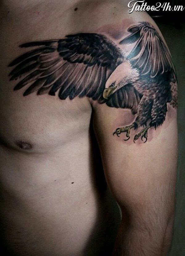 Top 333+ hình xăm con chim siêu đẹp và độc đáo - Genztattoo