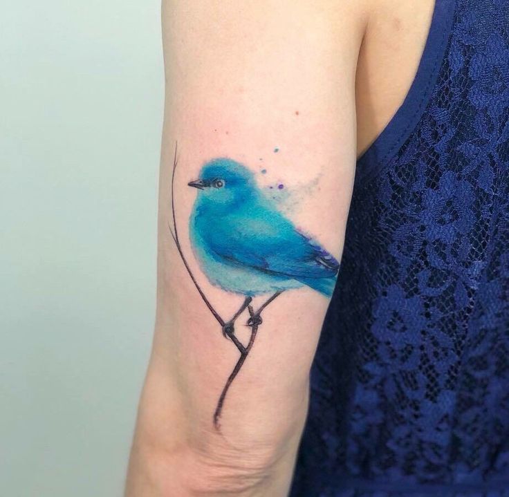 Top 333+ hình xăm con chim siêu đẹp và độc đáo - Genztattoo