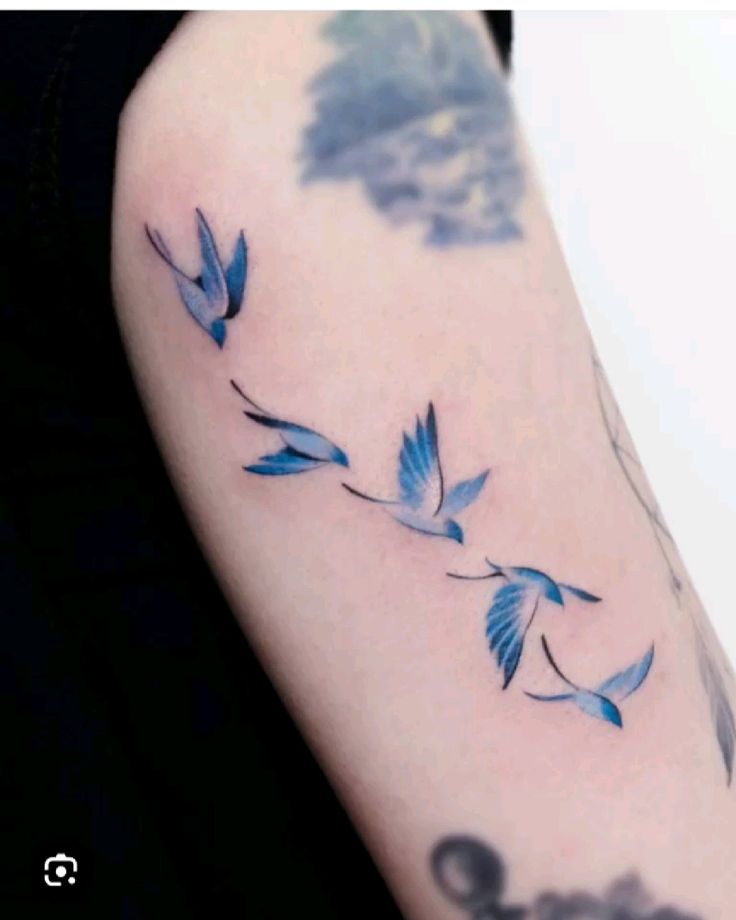 Top 333+ hình xăm con chim siêu đẹp và độc đáo - Genztattoo