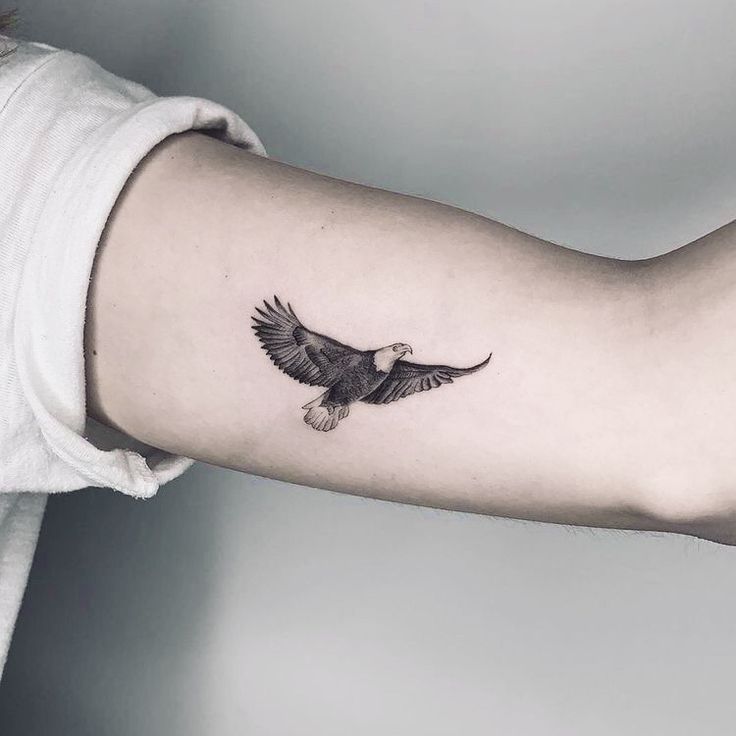 Top 333+ hình xăm con chim siêu đẹp và độc đáo - Genztattoo