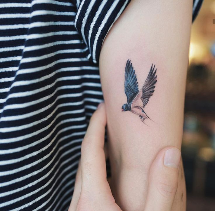 Top 333+ hình xăm con chim siêu đẹp và độc đáo - Genztattoo