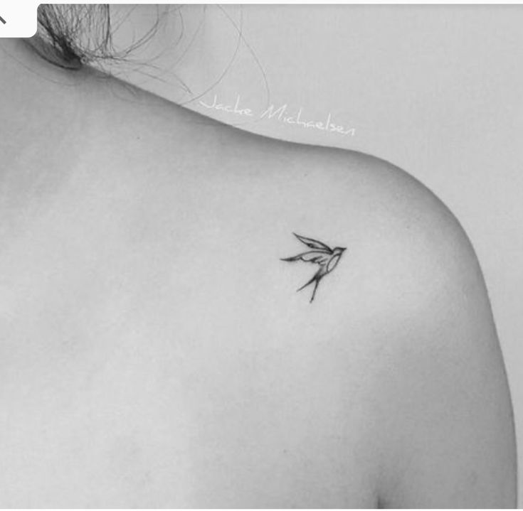 Top 333+ hình xăm con chim siêu đẹp và độc đáo - Genztattoo