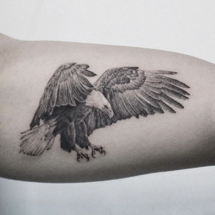 Top 333+ hình xăm con chim siêu đẹp và độc đáo - Genztattoo