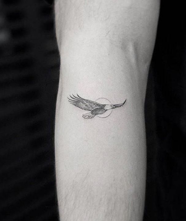 Top 333+ hình xăm con chim siêu đẹp và độc đáo - Genztattoo