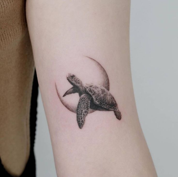 Gợi ý 700+ hình xăm con rùa đa dạng sắc thái cho anh em - Genztattoo
