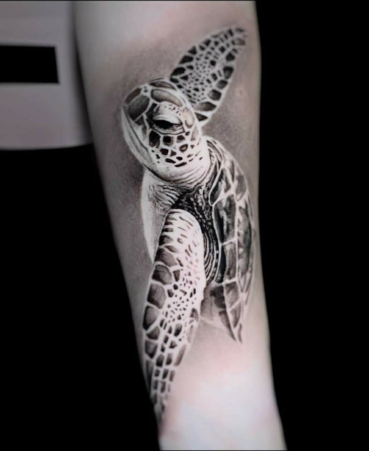 Gợi ý 700+ hình xăm con rùa đa dạng sắc thái cho anh em - Genztattoo