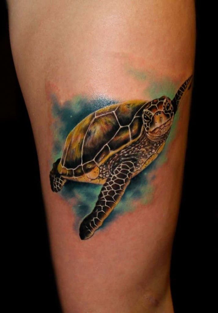 Gợi ý 700+ hình xăm con rùa đa dạng sắc thái cho anh em - Genztattoo