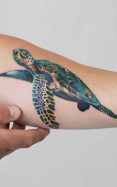 Gợi ý 700+ hình xăm con rùa đa dạng sắc thái cho anh em - Genztattoo