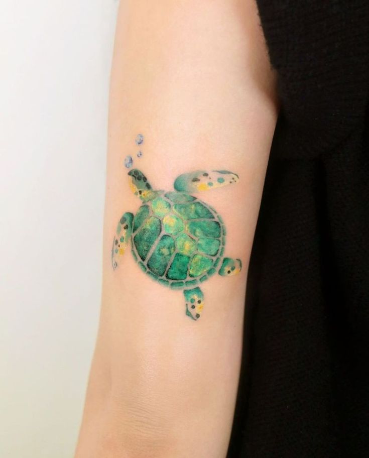 Gợi ý 700+ hình xăm con rùa đa dạng sắc thái cho anh em - Genztattoo