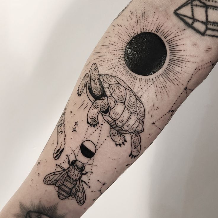 Gợi ý 700+ hình xăm con rùa đa dạng sắc thái cho anh em - Genztattoo