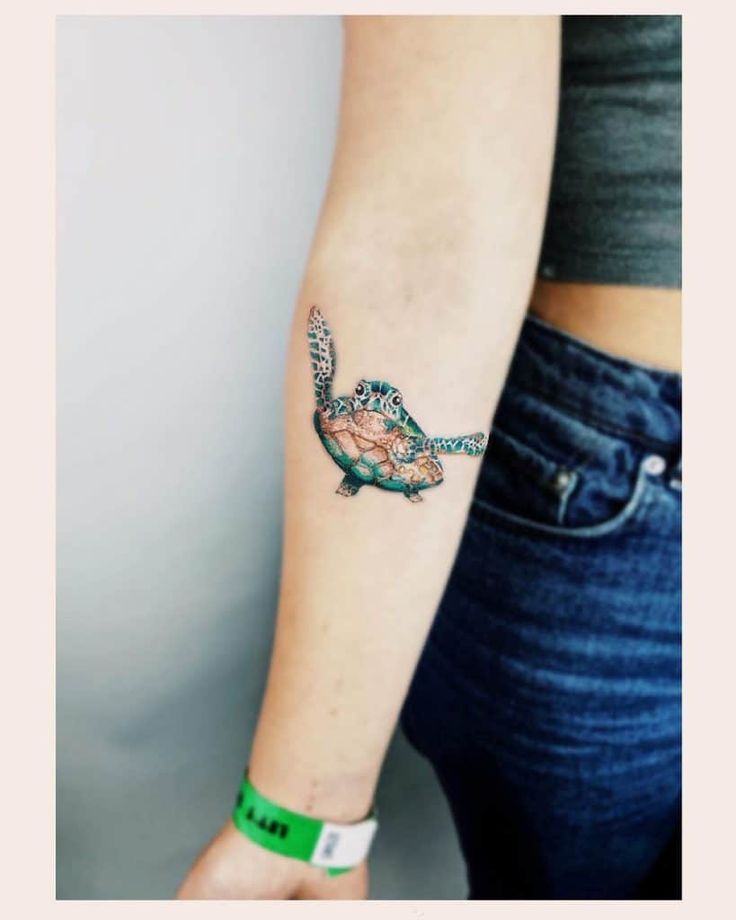 Gợi ý 700+ hình xăm con rùa đa dạng sắc thái cho anh em - Genztattoo