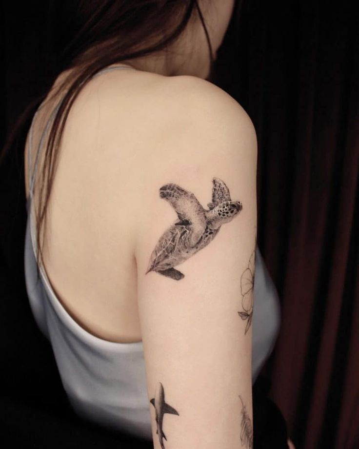 Gợi ý 700+ hình xăm con rùa đa dạng sắc thái cho anh em - Genztattoo
