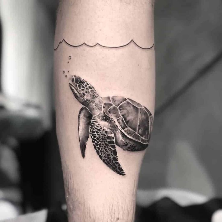 Gợi ý 700+ hình xăm con rùa đa dạng sắc thái cho anh em - Genztattoo