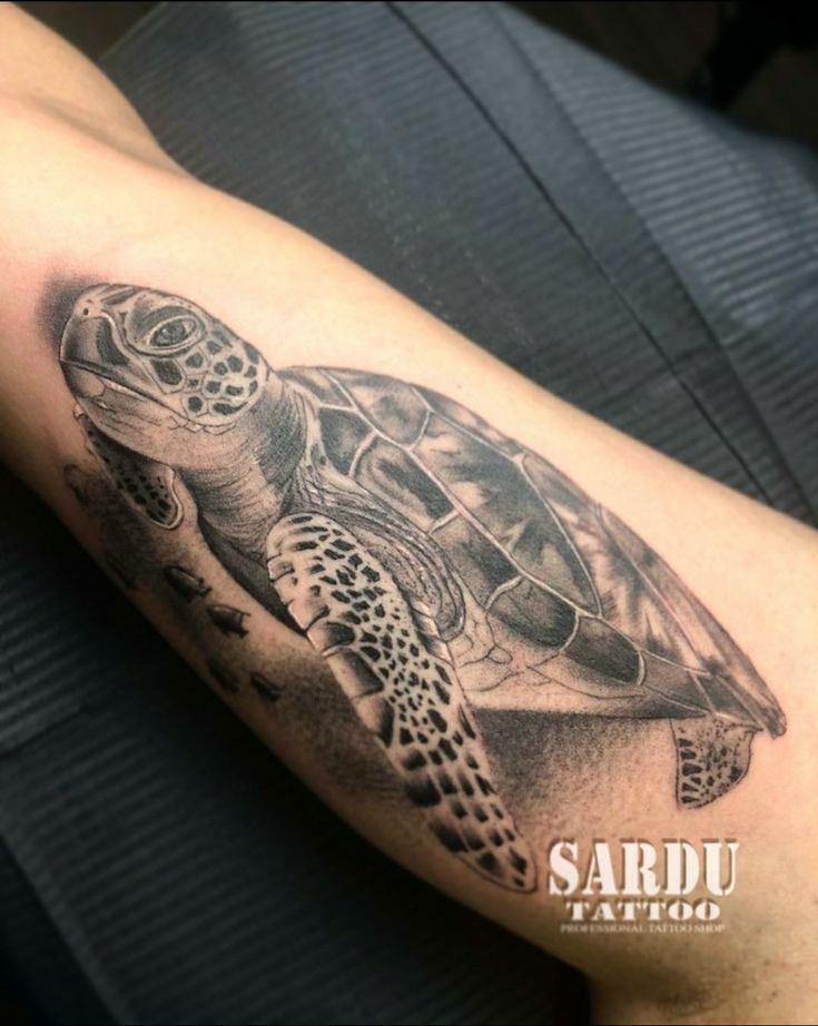 Gợi ý 700+ hình xăm con rùa đa dạng sắc thái cho anh em - Genztattoo